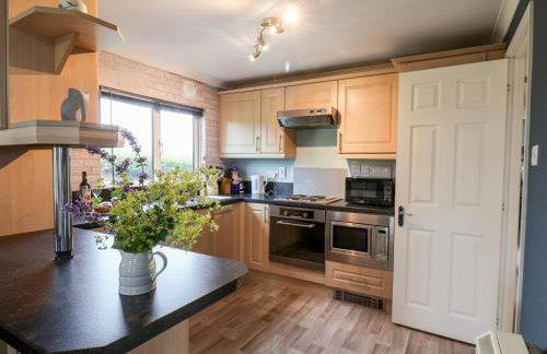 Handale Banks Farm Lodge - Foto 6