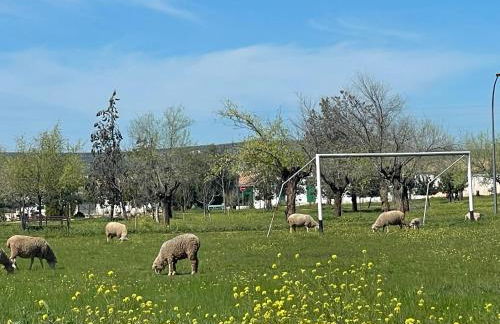 Casa Rural Miraelrio - Foto 28