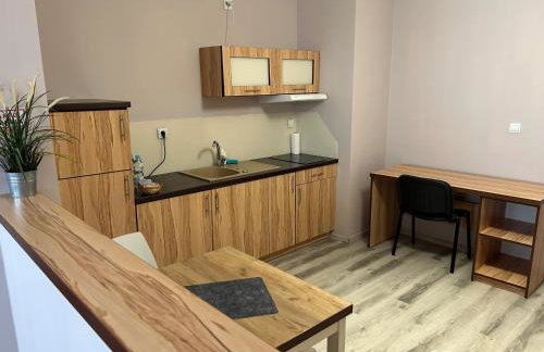 H-T-L Apartamenty Junior - Foto 35