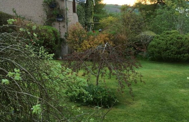 Y Twlc Mochyn - Ecofriendly - Farm Animals - Foto 23