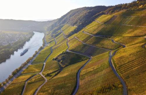 Fewo direkt am Moselufer - Foto 8