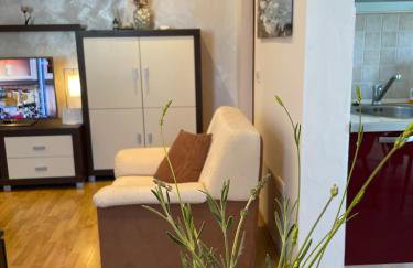 Denis Apartment - Photo 16