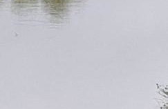 Lakehouse has Spectacular View plus Easy Access! - Foto 43