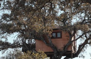 Corvatos Casas do Monte - Foto 56