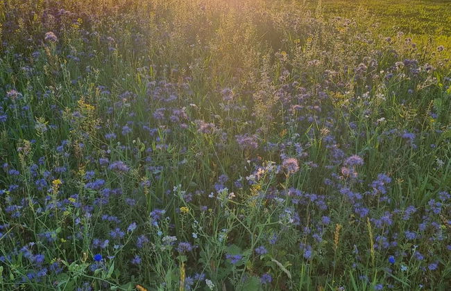 Wohnung Nr.23 - Foto 12