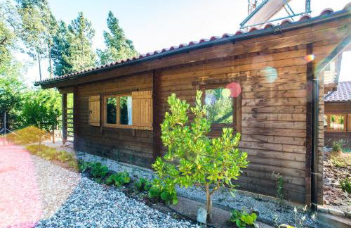 Quintinha do Casal Ruivo - Foto 24