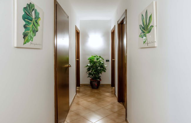 Plaza Rooms Ciampino - Foto 58