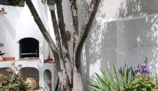 LOS SUEÑOS DE BUENDÍA - Foto 3