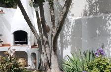 LOS SUEÑOS DE BUENDÍA - Foto 3