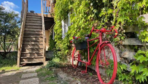 Gites des Trois Provinces, Zoo de Beauval - Foto 1