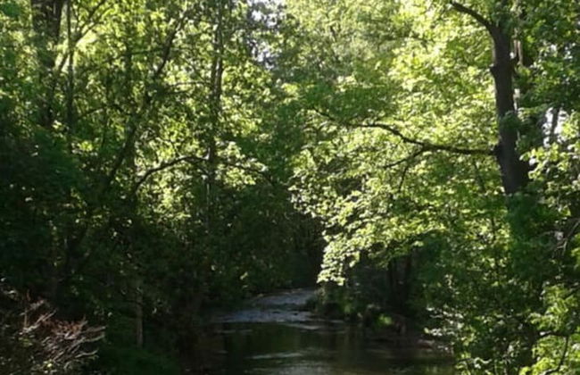 "heidi" Modern Retreat - Foto 12