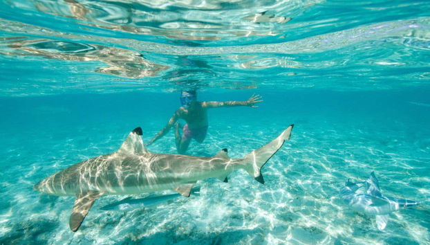 Private Boat Rental with Skipper - Foto 3