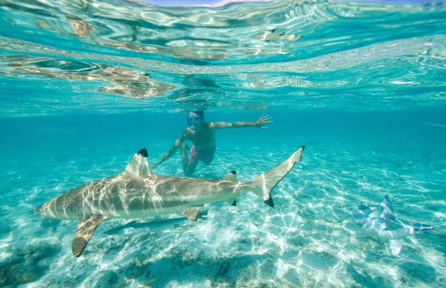 Noleggio di barca con skipper - Foto 3