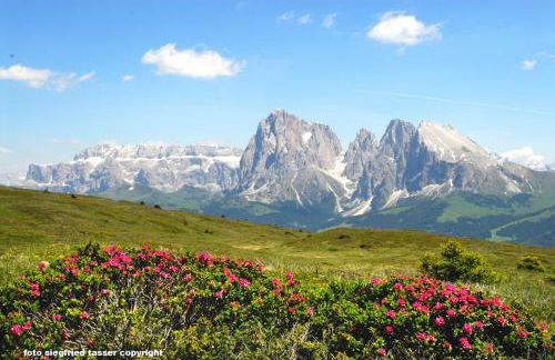 Apartment Gertrud - Foto 21