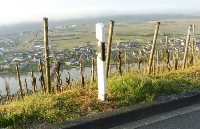 Voor 8 tot 12 Personen - Photo 23