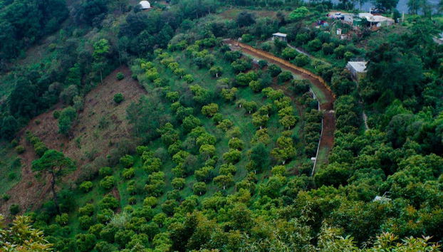 Antigua Guatemala Viewpoints Tour - Foto 2