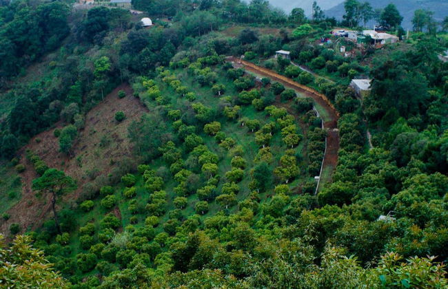 Antigua Guatemala Viewpoints Tour - Photo 2