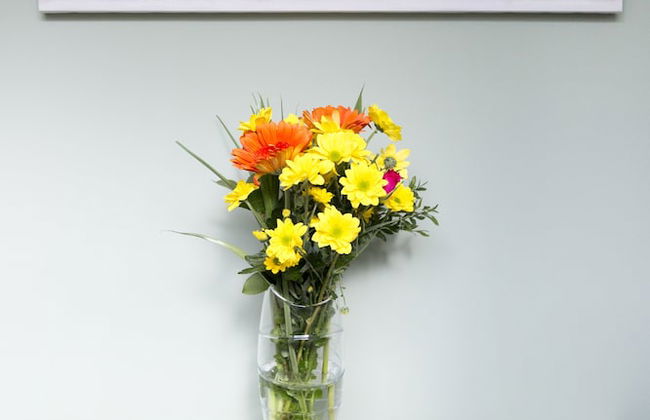 3- Bed - Sleeps 6 - Dogs Welcome & Free Parking - Foto 6