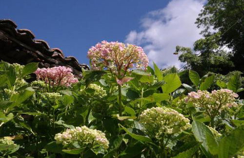 La Rondita, Fuentes, Parres, Asturias - Photo 7