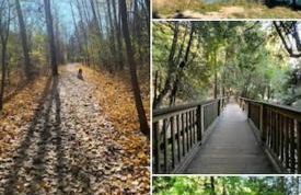 Wonderful 4BR Home - Foto 25