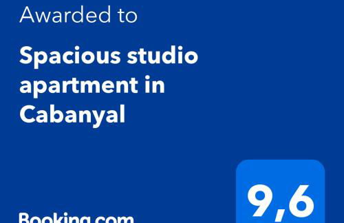 Spacious studio apartment in Cabanyal - Photo 14