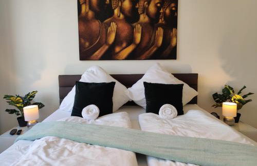 Maisonette-Penthouse inklusive Infrarot-Sauna über den Dächern von Magdeburg - Photo 1