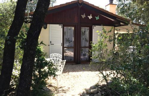 Les 4 mousquetaires - Photo 10