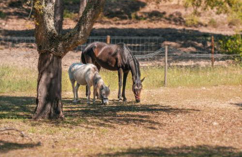 Chalet do Lago - Foto 58