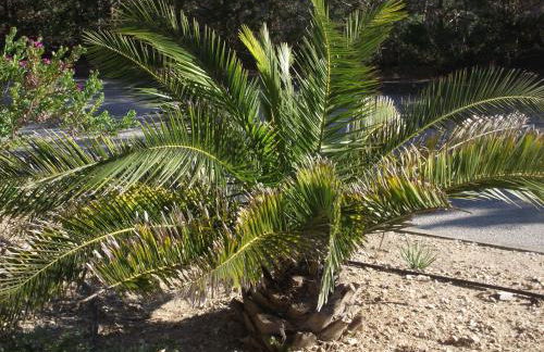 T2 climatisé à 500m de la plage sur la presqu'ile de Saint Mandrier sur Mer - Photo 34