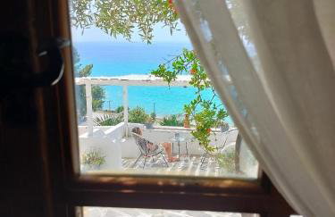 Villa Olga & studios - Foto 15