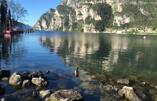 San Rocco Apartments - Photo 73