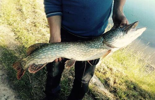 Miła Dolina - Foto 47