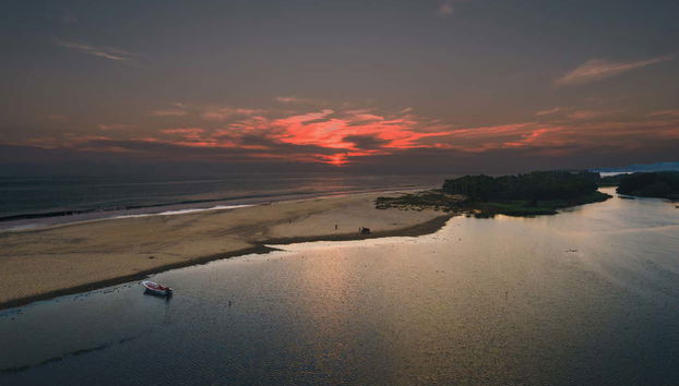 Night Tour of the Manialtepec Lagoon - Foto 4