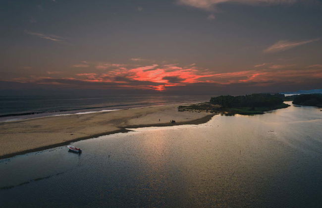 Night Tour of the Manialtepec Lagoon - Photo 10