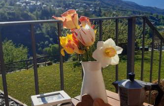 Apartment Einzimmerwohnung Die Katze in Gignod by Interhome - Foto 3