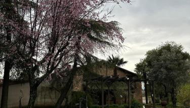 La Casona De Jaraiz - Foto 3