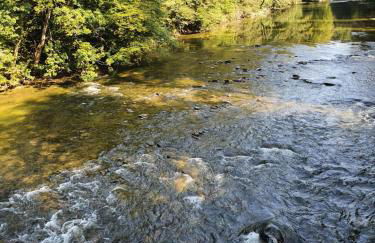 Schweizer´s Ferienwohnung - Foto 42