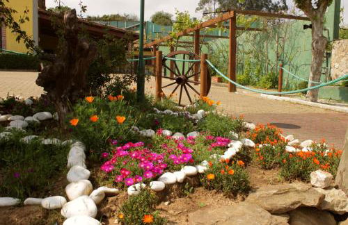 Quinta Sobral Prestige - Rustic House - Photo 3