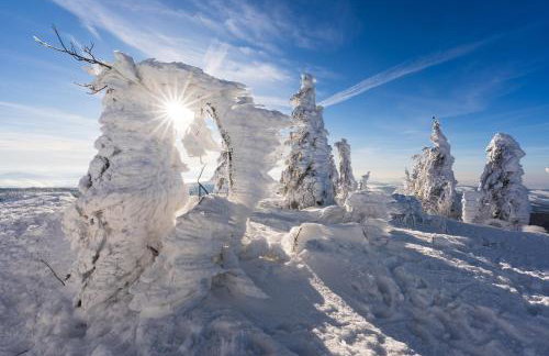 Landhaus Lerchenweg FeWo inkl aktivCARD - Foto 20