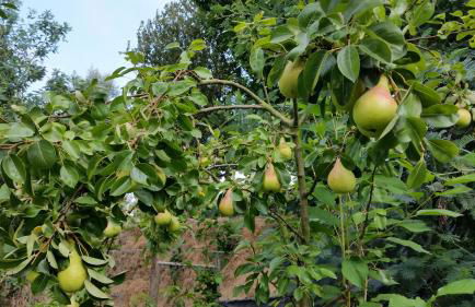 Casa Valxisto Country House - Foto 106