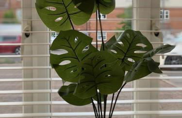 Spacious and central 4-bedroom house with parking - Foto 19