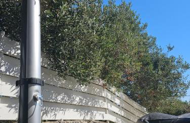 Bijela kuča - Foto 14