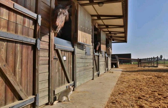 Casa Rural Ecuestre - Foto 39