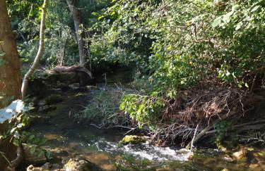 Gite de la Pierre Bleue, Authentique Maison à la campagne - Foto 50