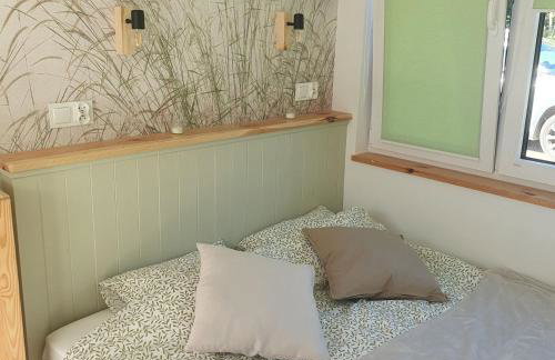 Bujanie w sitowiu - Foto 35