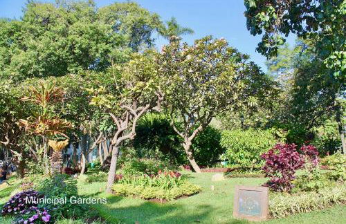 OurMadeira - BelleVeva - Foto 23