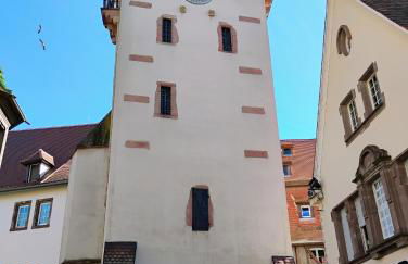 Gîte Le Marronnier, parking et terrasse au calme, entre Colmar-Riquewihr et Obernai, vue sur espaces verts et coteaux d Alsace, route du vin-châteaux - Foto 21