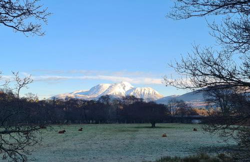 Watercolour - Photo 22