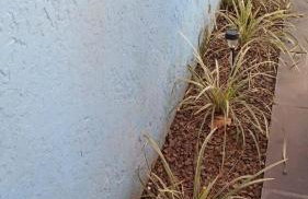 Casa paulo e nubia - Foto 10