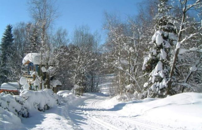 Ferienwohnung im Bayerischen Wald mit Sauna - Foto 34